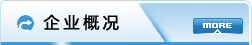 公司簡(jiǎn)介